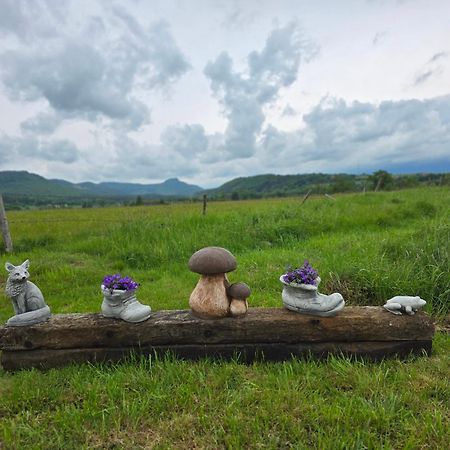 Wataha Pod Basztami - Wadera - Domki Caloroczne Radkow Bagian luar foto