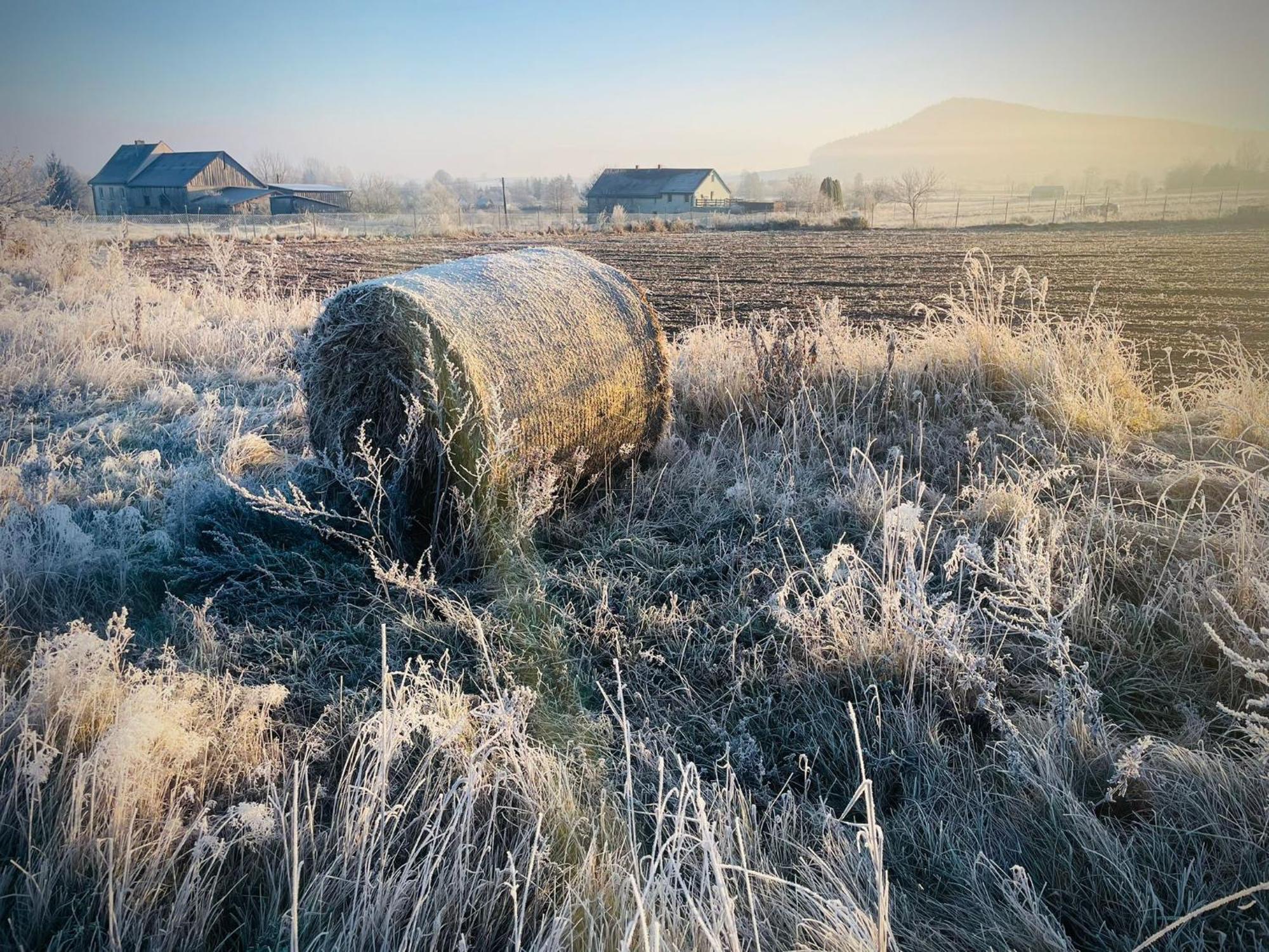 Wataha Pod Basztami - Wadera - Domki Caloroczne Radkow Bagian luar foto