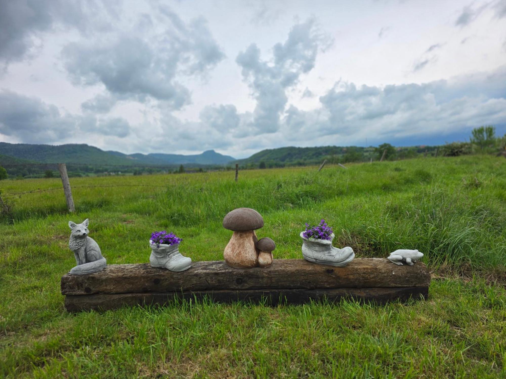 Wataha Pod Basztami - Wadera - Domki Caloroczne Radkow Bagian luar foto